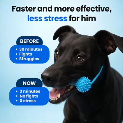 🐶 Dog Teeth Cleaning Toy – Interactive Dental Chew Bone with Rope to Help Keep Your Dog’s Mouth Open for Easier Brushing & Oral Care 🦷💙