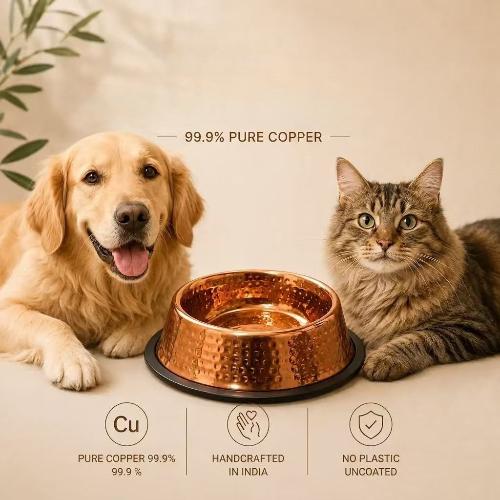 99.9% Pure Copper Bowl for Dogs & Cats
