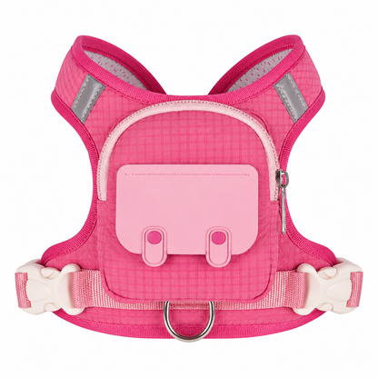 Backpack Harness