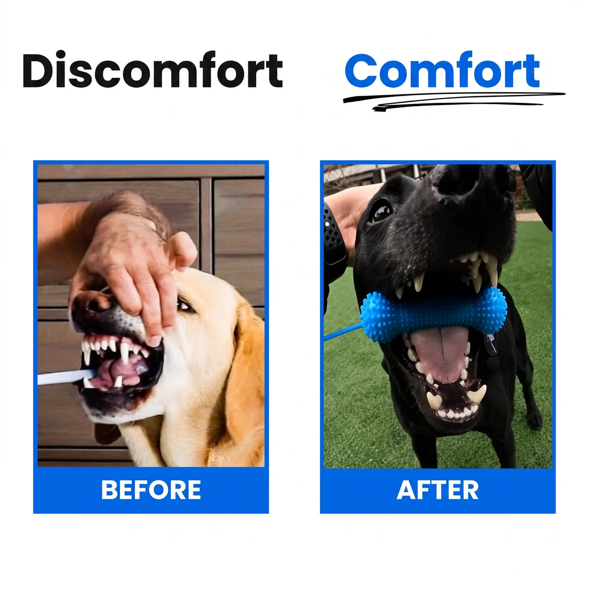 🐶 Dog Teeth Cleaning Toy – Interactive Dental Chew Bone with Rope to Help Keep Your Dog’s Mouth Open for Easier Brushing & Oral Care 🦷💙