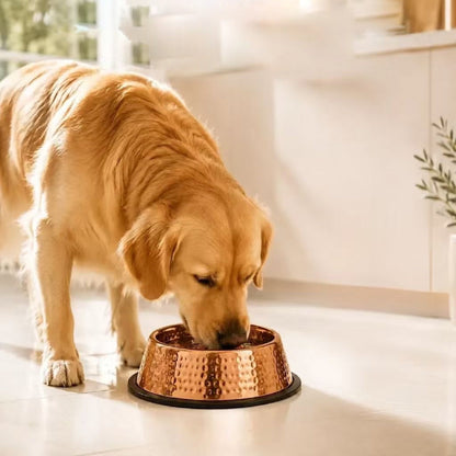 99.9% Pure Copper Bowl for Dogs & Cats