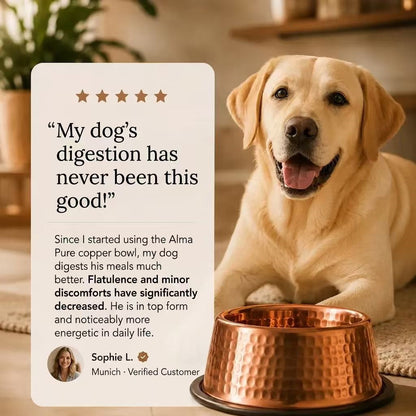 99.9% Pure Copper Bowl for Dogs & Cats