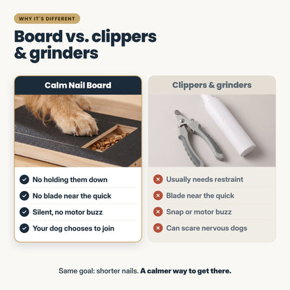 PawSerene Calm Nail Board – Dog Nail Scratch Board with Hidden Treat Drawer for Stress-Free At-Home Paw Care