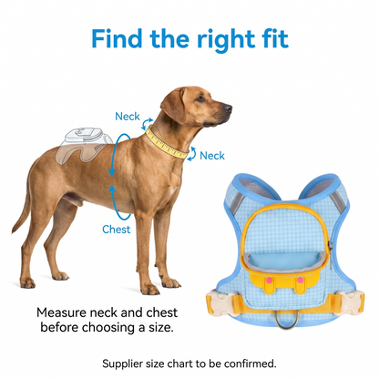 Backpack Harness