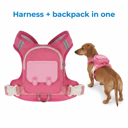 Backpack Harness