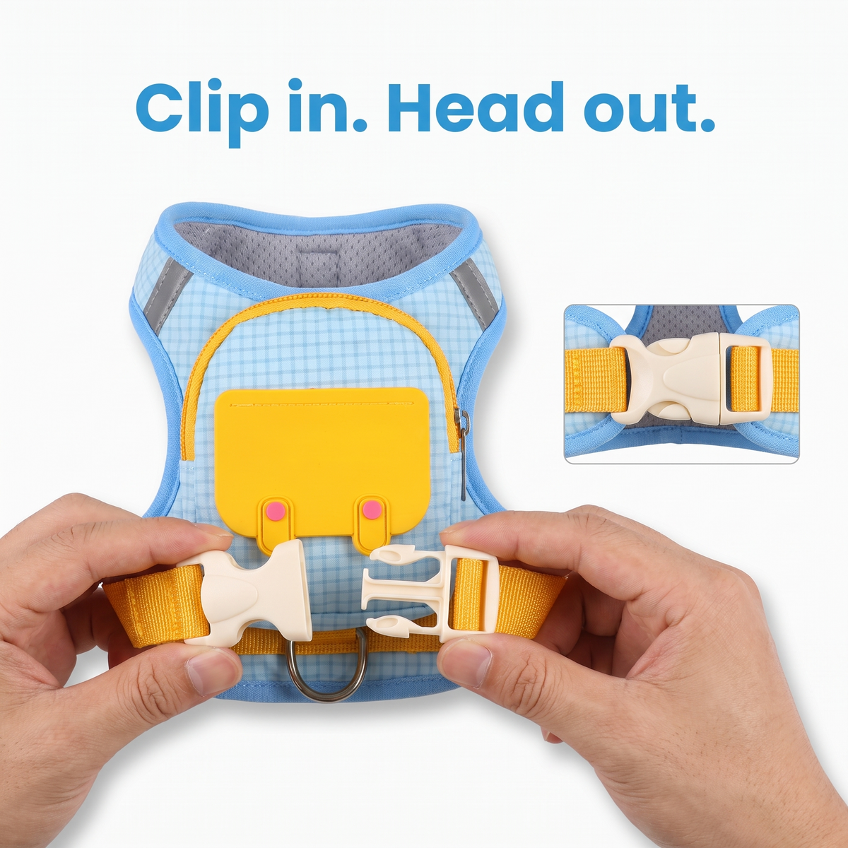 Backpack Harness