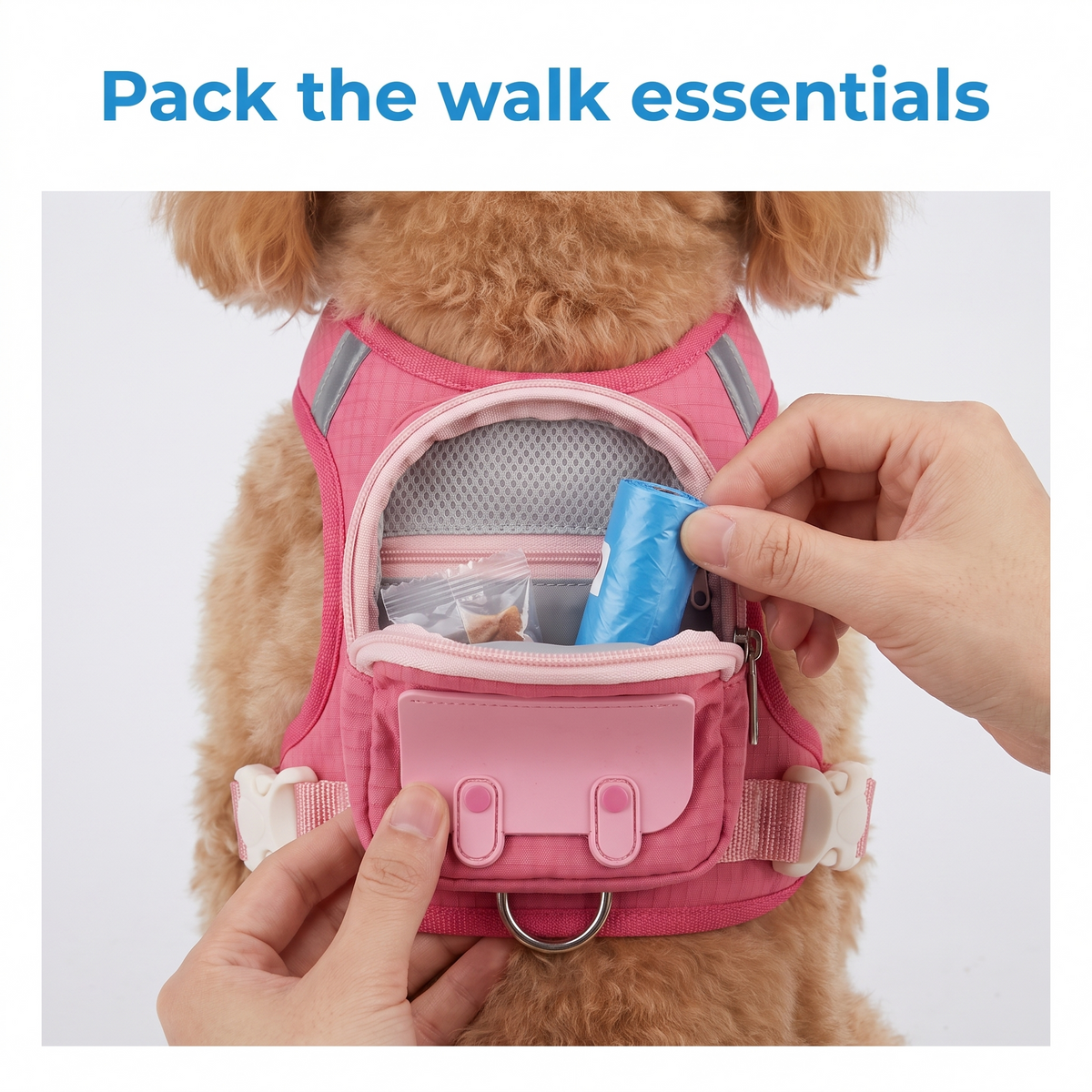 Backpack Harness