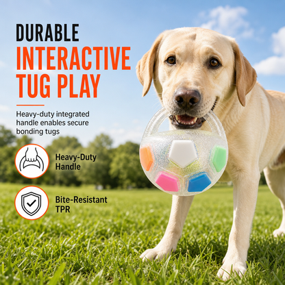 🐶 Interactive Dog Football with Handle - Engaging Play & Bite-Resistant TPR